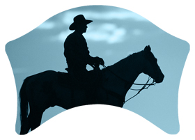 DABAN-360-BL Cowboy Blue